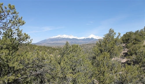 Colorado, Costilla County, 5.02 Acres Sangre De Cristo Ranches. TERMS $0 Down $179/Month