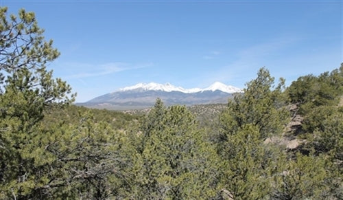 Colorado, Costilla County, 5.22 Acres Sangre De Cristo Ranches. TERMS $264/Month