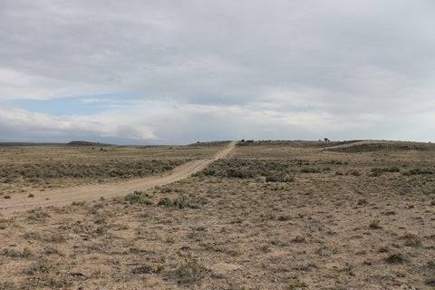 Colorado, Costilla County, 5 Acre Rio Grande Ranchos. TERMS $54/Month