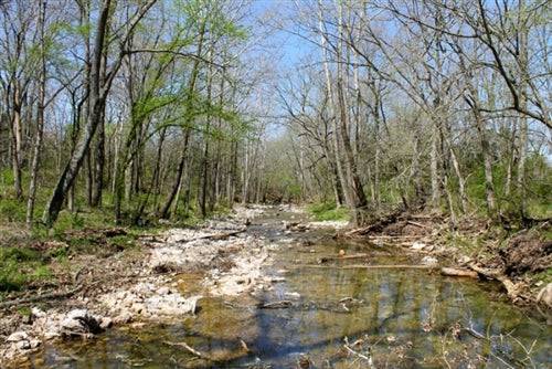 Missouri, Phelps County, 5.87 Acre Cedar Ridge Ranch, Creek. TERMS $210/Month