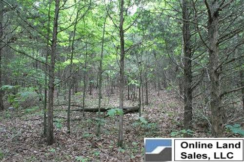 Missouri, Phelps County, 10.19 Acres Cedar Ridge Ranch. TERMS $210/Month