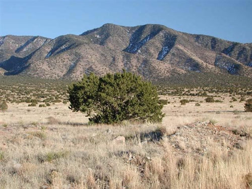 New Mexico, Valencia County, .25 Acre Rio Del Oro. $900 CASH