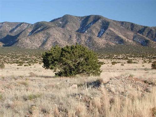 New Mexico, Valencia County, .25 Acre Rio Del Oro. $900 CASH