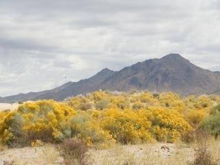 40-acre Nevada land near Winnemucca in Humboldt County, showing open rural terrain with distant hills and clear sky.
