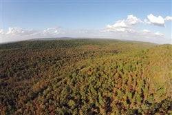 Oklahoma, Pittsburg County, 19.56 Acres Indian Ridge III, Creek, Electricity. TERMS $360/Month