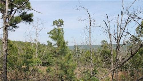 10.7-acre Indian Ridge II land in Pittsburg County, Oklahoma, shown in the image with natural landscape and property boundaries.