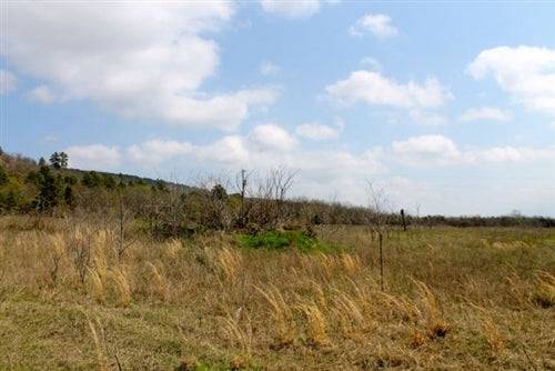 Oklahoma, Pittsburg County, 5.01 Acres Daisy Meadows, Creek. TERMS $185/Month.