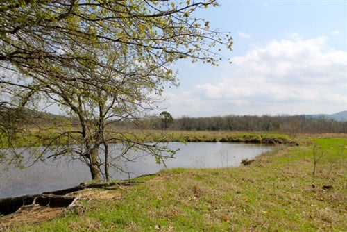 Oklahoma, Pittsburg County, 5.16 Acre Daisy Meadows, Pond, Electricity.TERMS $250/Month