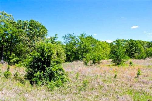 Oklahoma, Okfuskee County, 9.4 Acre Saddlebrook Ranch. TERMS $230/Month