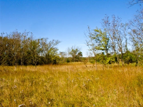 Oklahoma, Okfuskee County, 12.3 Acre Saddlebrook Ranch, Creek, Electricity. TERMS $430/Month