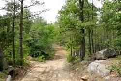 Oklahoma, PushmatahaCounty, 8.77 Acre Trophy Ridge III. TERMS $150/Month.