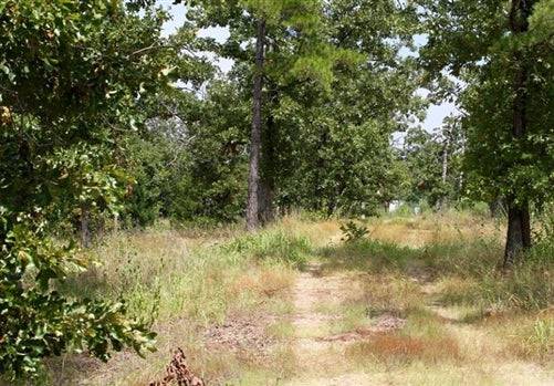 Oklahoma, Pushmataha County, 2.63 Acre Lake View Private Reserve. TERMS $265/Month