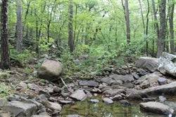 Oklahoma, Pushmataha County, 6.41 Acre Trophy Ridge III, Creek. TERMS $160/Month