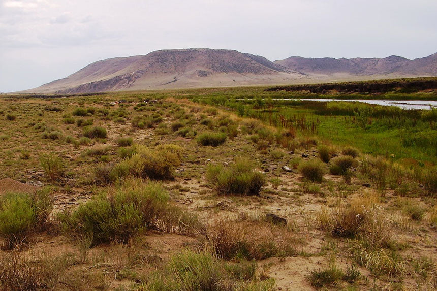 Colorado, Costilla County, 0.25 Acre Rio Grande River, Lot 885 Unit 1 (Near Rio Grande River). TERMS 50% Off (now) $26/Month