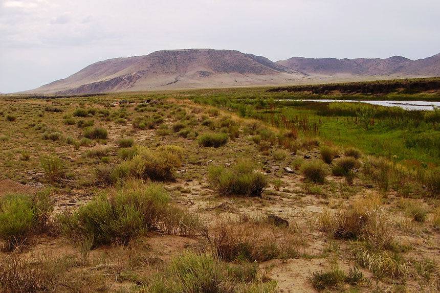 Colorado, Costilla County, 0.25 Acre Rio Grande River, Lot 893 Unit 1 (Near Rio Grande River). TERMS 50% OFF (now) $26/Month