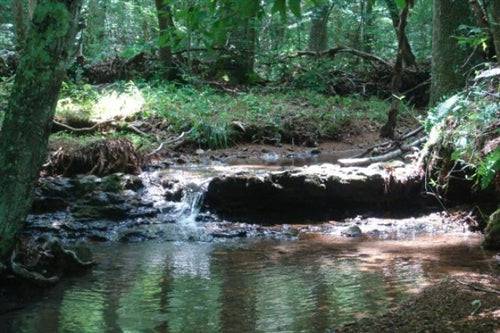 Tennessee, Wayne County, 10.66 Acre Sugartree Falls. TERMS $430/Month