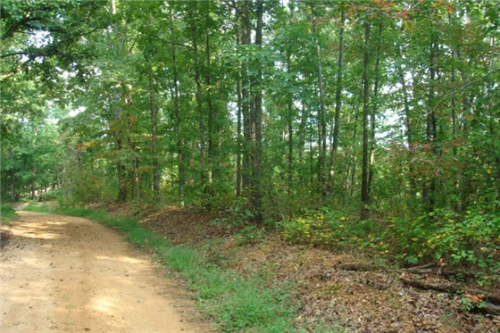 Tennessee, Wayne County, 5.05 Acre Sugartree Falls. TERMS $295/Month