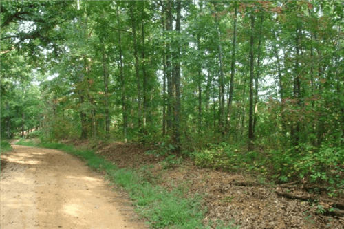 Tennessee, Wayne County, 5.05 Acre Sugartree Falls. TERMS $295/Month
