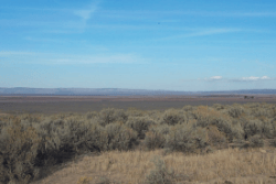Texas, Presidio County, 47.50 Acres Presidio, Block 1. TERMS $312/Month