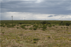 Texas, Hudspeth County, 5.09 Acres La Hacienda Estates , Lot 695 Unit 2. TERMS $69/Month