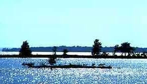 Texas, Polk County, Lake Livingston Resort. TERMS $100/Month