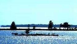 Texas, Polk County, Lake Livingston Resort. TERMS $100/Month