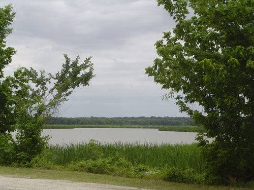 Texas, Trinity County, Trinity Forest. TERMS $75/Month