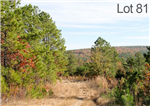 Oklahoma, Latimer  County, 13.87 Acre Stone Creek Ranch, Lot 81. TERMS $280/Month