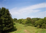 West Virginia, Roane County, 4.86 Acre Heritage Hollow, Lot 21. TERMS $270/Month
