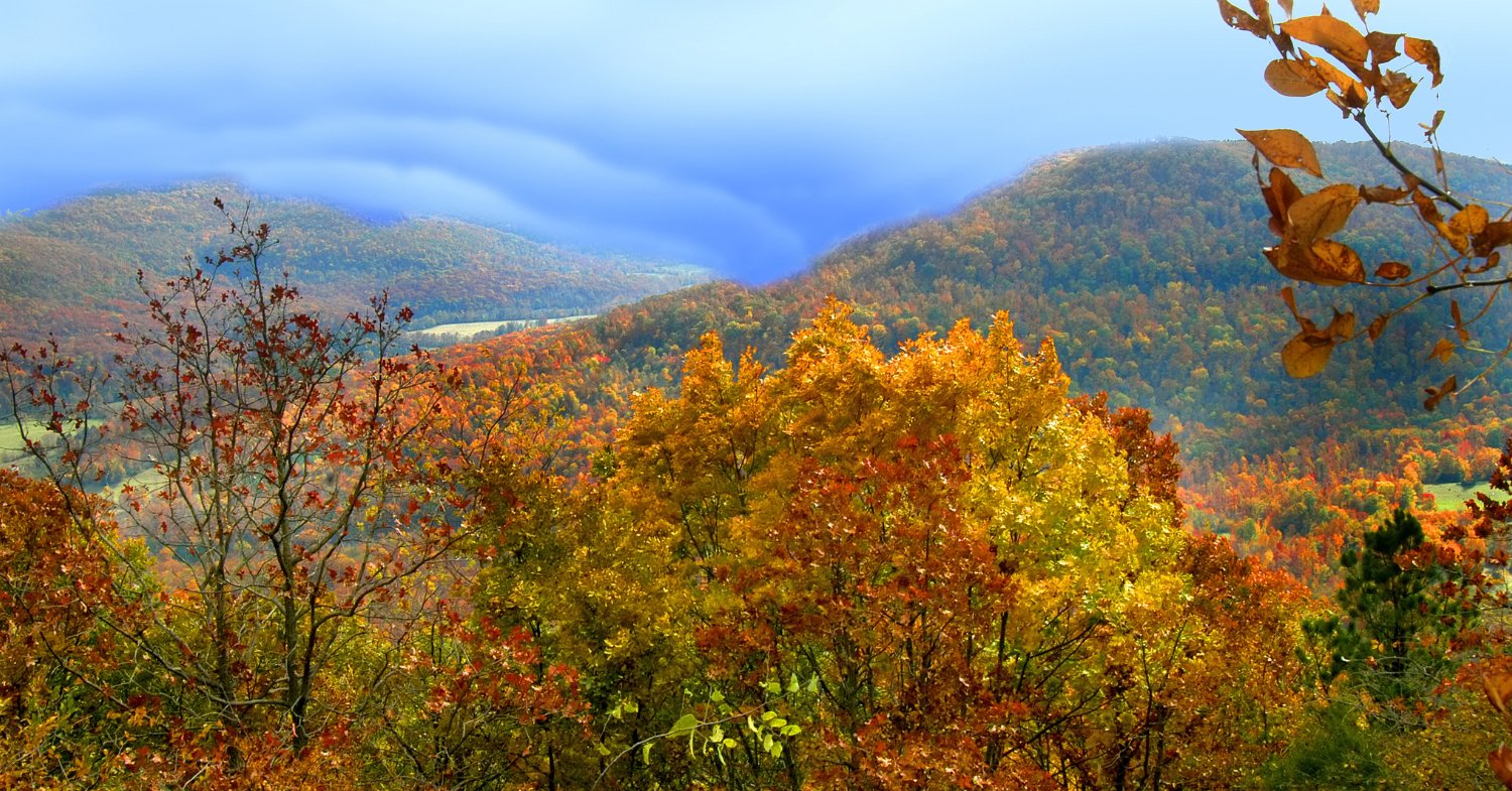 Arkansas Land Lots for Sale | Buy Cheap Arkansas Acreage – Onlinelandsales