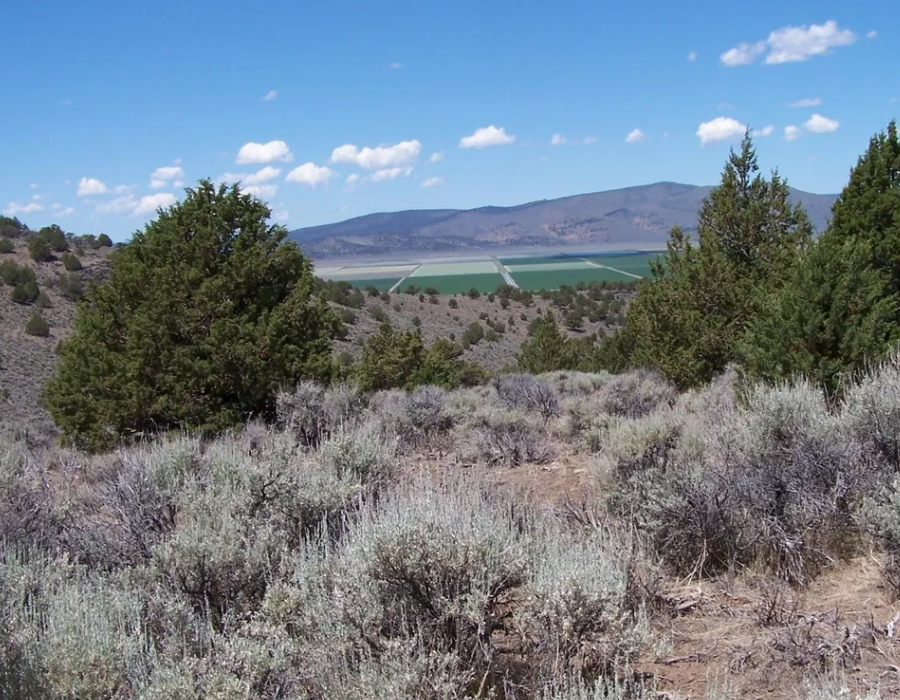 Ravendale Ranch Lassen County California – Onlinelandsales