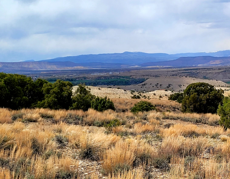 Utah Mini Ranches – Onlinelandsales