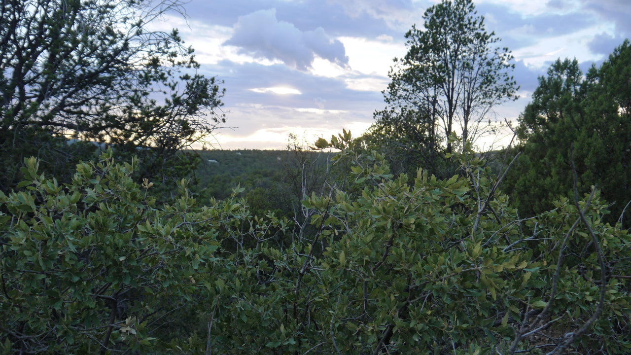 Timberon Otero County New Mexico – Onlinelandsales