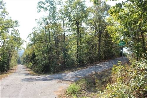 OnlineLandsales auction item featuring Cherokee Village, with a scenic outdoor view of trees and nature landscape.