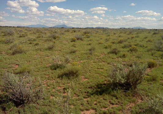 Aerial view of a 1-acre lot in Grand Canyon Estates, Coconino County, Arizona, showcasing open land and natural surroundings.