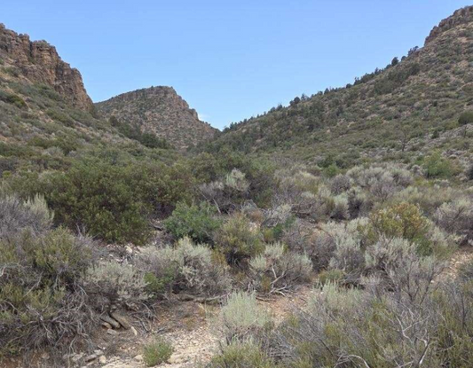 Aerial view of Arizona Golden Valley Ranchos Unit 1 South, 4.77-acre lot in Mohave County, desert landscape and open land.