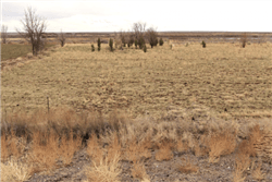 Arizona, Navajo County, 1.25 Acres Arizona Rancho, Lot 23 Rancho 88. TERMS $41/Month