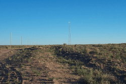 Arizona, Navajo County, 1.25 Acres Arizona Rancho, Lot 75. TERMS $50/Month