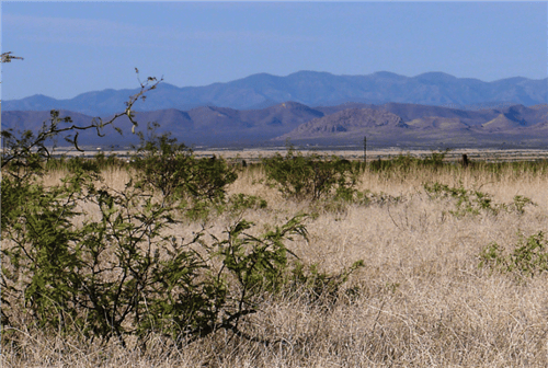Aerial view of Cochise County lot 1231 in Arizona's Cochise College Park, showing surrounding land and natural desert terrain.