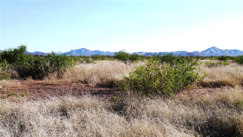 Arizona, Cochise County, .21 Acre Cochise College Estates. TERMS $100/Month