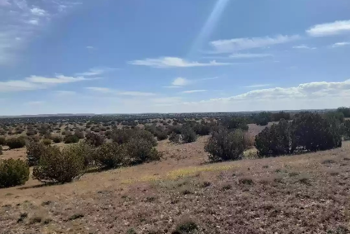 Arizona, Navajo County, 2.50 Acres Chevelon Canyon Ranch, Section 29, T17N R17E NW4 SE4 SE4 NE4 Tract L71. TERMS $89/Month