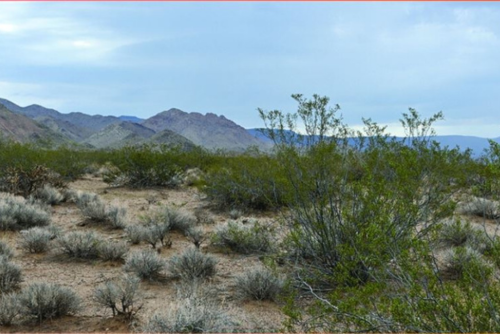 Lake Havasu Land, Mohave County, AZ