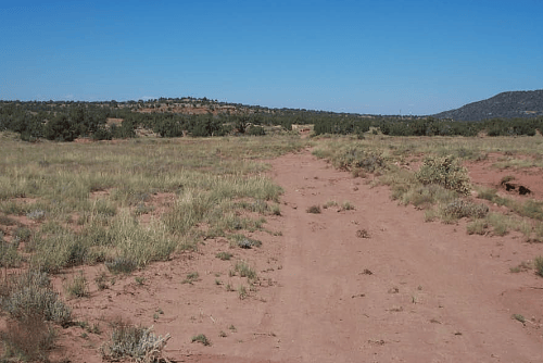Arizona Navajo County ranch land, 1.17 acres of Golden Horse Lot 806 in Unit 4, scenic desert landscape with mountains.