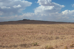 Arizona, Navajo County, 1.26 Acres Sun Valley, Lot 27 Rancho #99. TERMS $42/Month