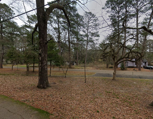 Mississippi, Hinds County, 0.27 Acres Alta Woods Park, Lot 29. TERMS $98/Month