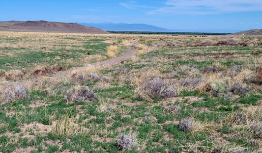 Colorado, Conejos County, 3.15 Acre Antonito FR 2.5107 AC IN N1/2 NW1/4 18-32-9 (County Road 12.5). TERMS $281/Month