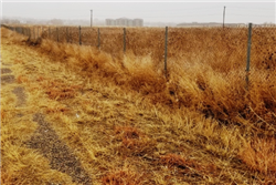 Colorado, Pueblo County,  0.21 Acres Colo City Lot 306 Unit 31.  TERMS $99/Month