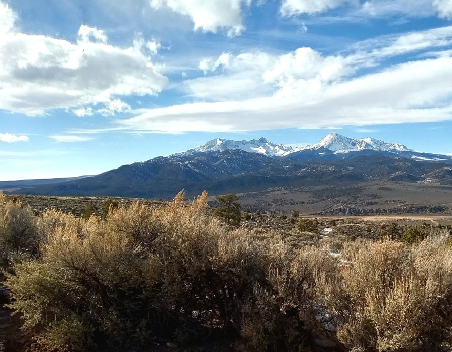 Sangre De Cristo Ranches Lot 4883 property photo