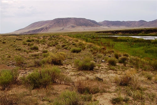 Colorado, Costilla County, 0.25 Acre Rio Grande River, Lot 327. TERMS $248/Month