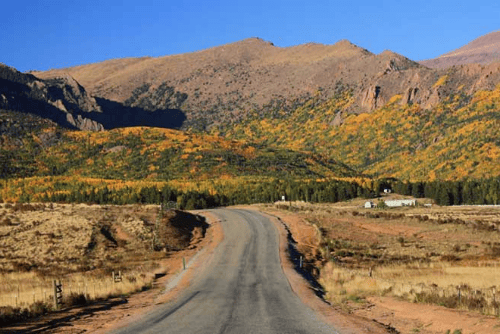 Colorado, Teller  County,  1.19 Acres Cripple Creek Lot  117, Electricity and Water.  TERMS $231/Month